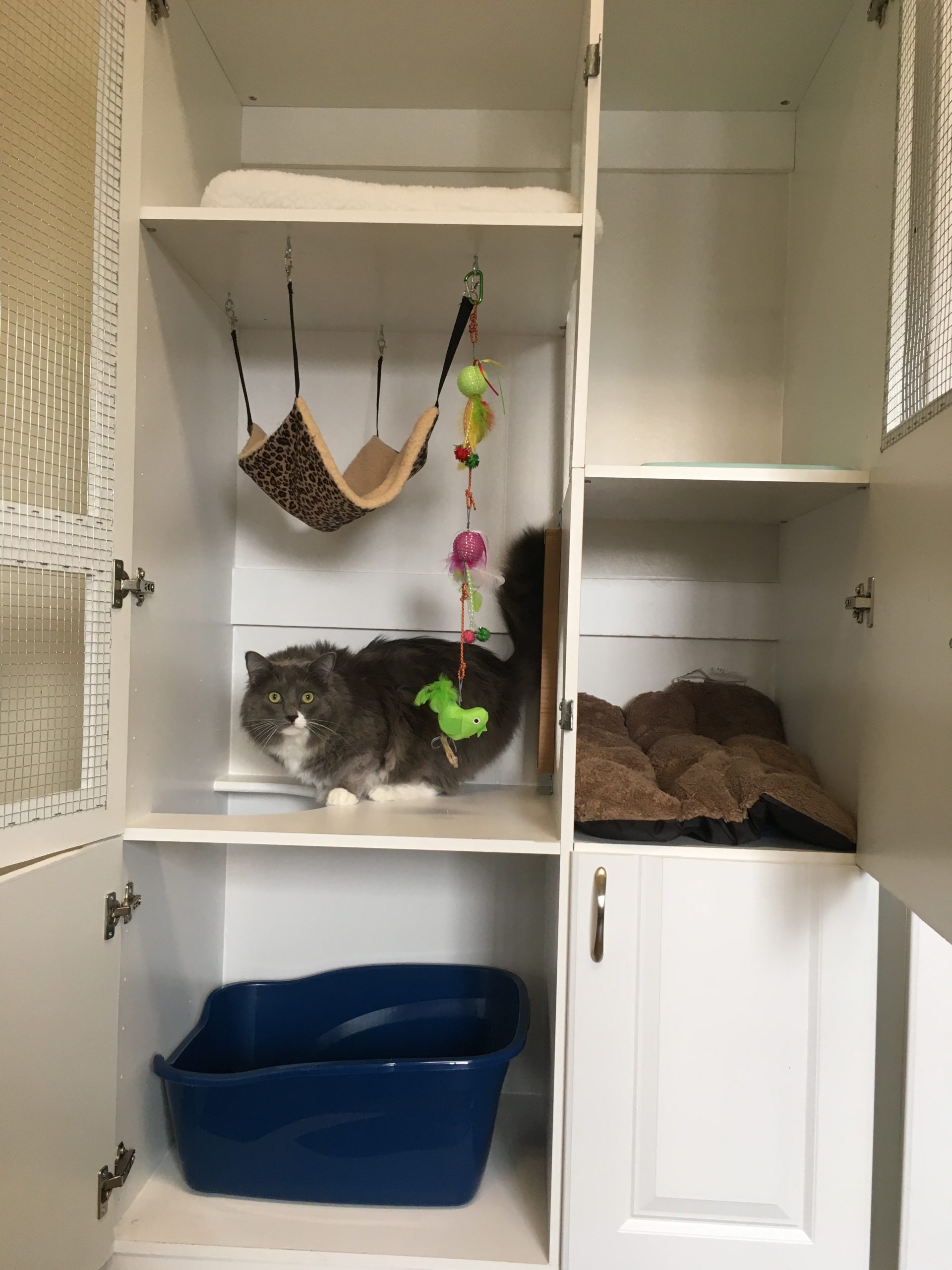 Luxury kennel “Condo”
