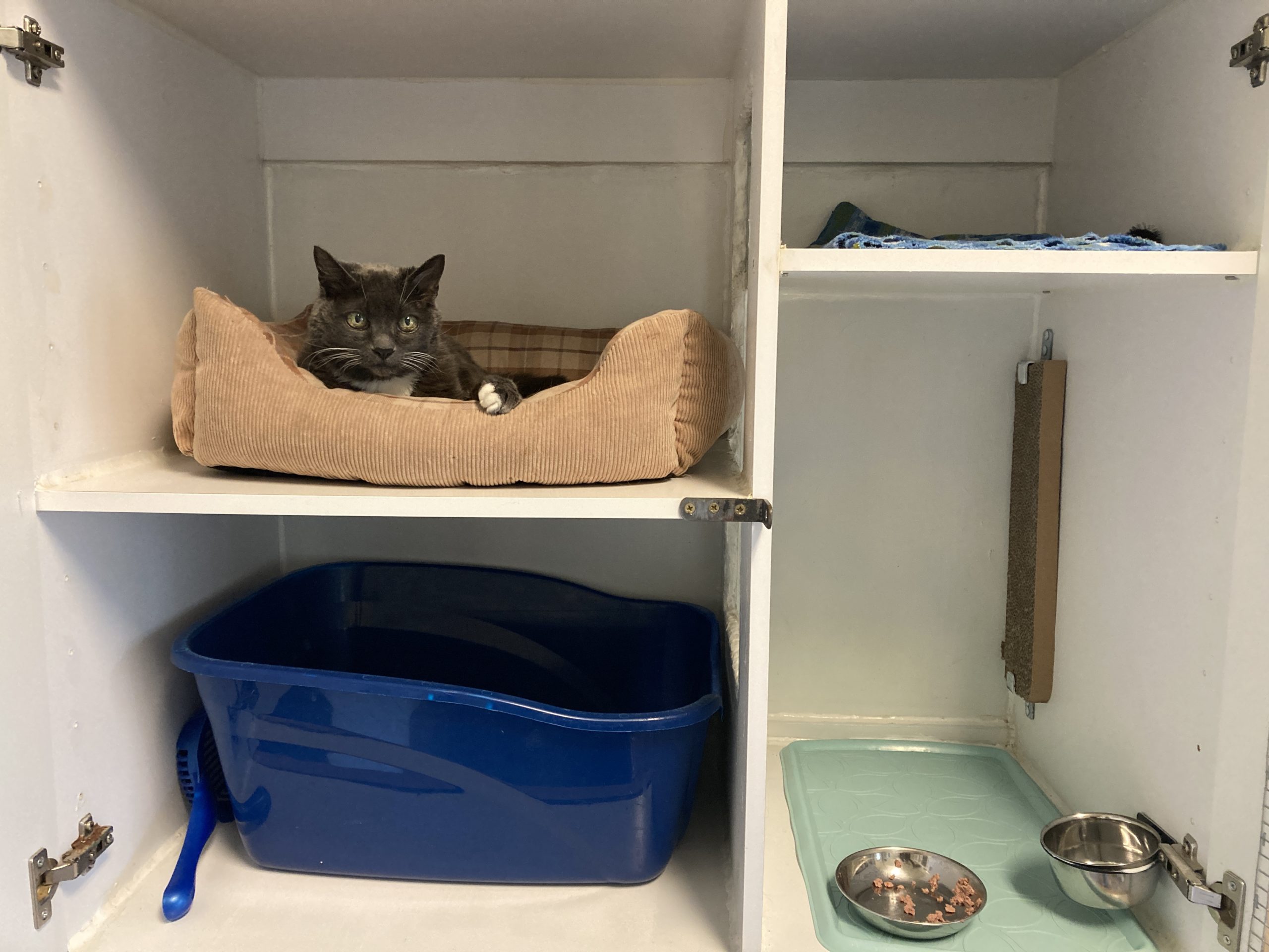 Standard kennel “Pod”